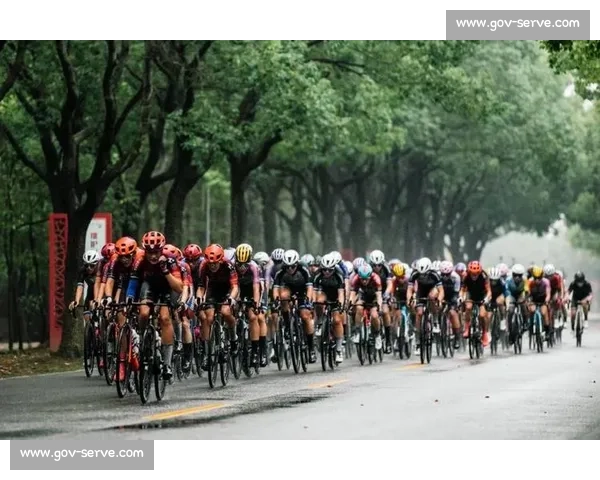 看体育赛事一定要精通规则才能真正享受比赛吗探讨观赛乐趣与规则关系 - 副本 - 副本 (2)