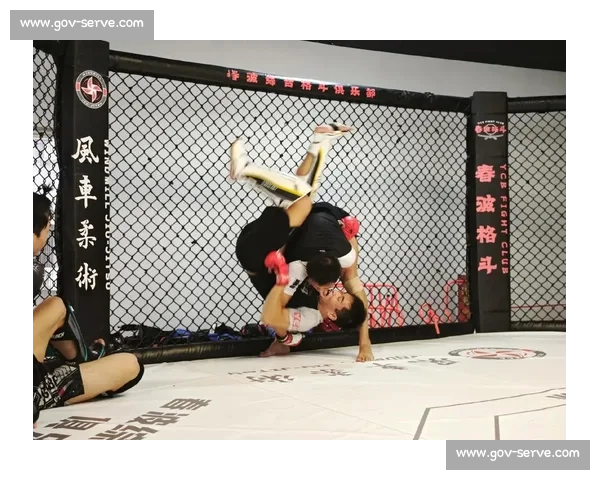 综合格斗发展趋势与实战技巧全面解析指南从入门到职业赛场策略 - 副本 (2)