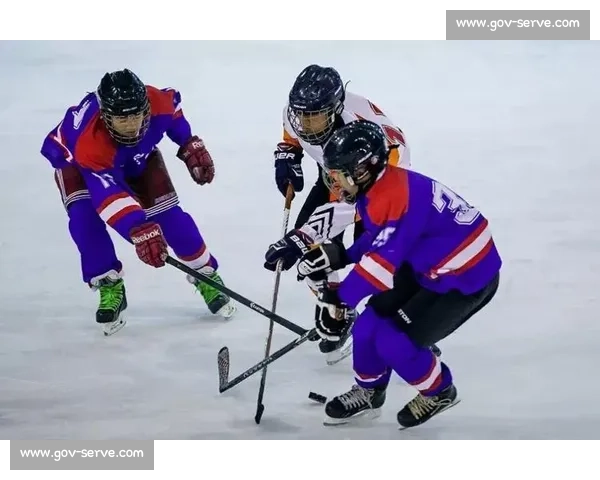 聚焦冰球联赛激战风云与荣耀征程全景深度观察报道发展态势解析特辑 - 副本 - 副本